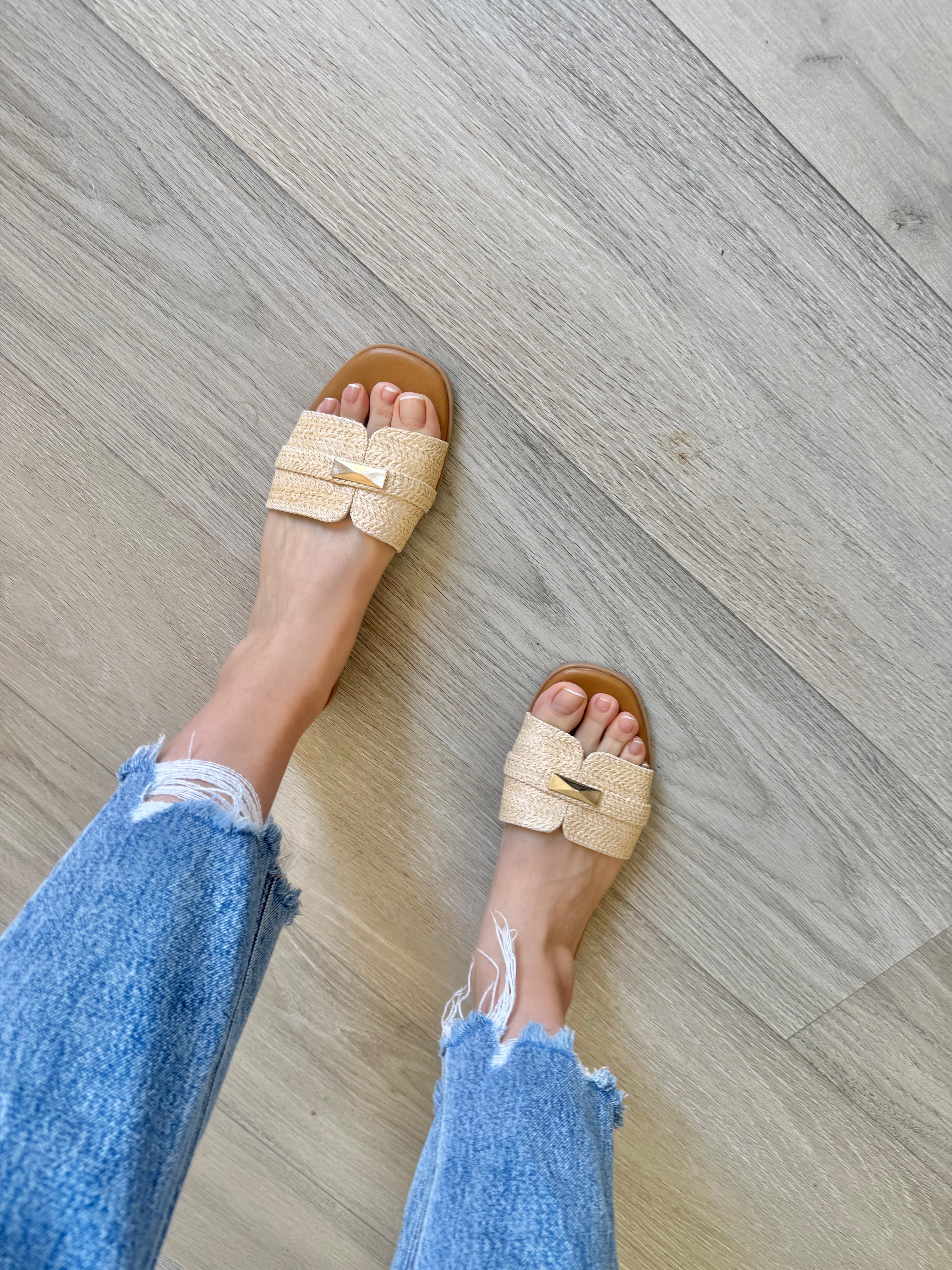 ZAE Zapateria