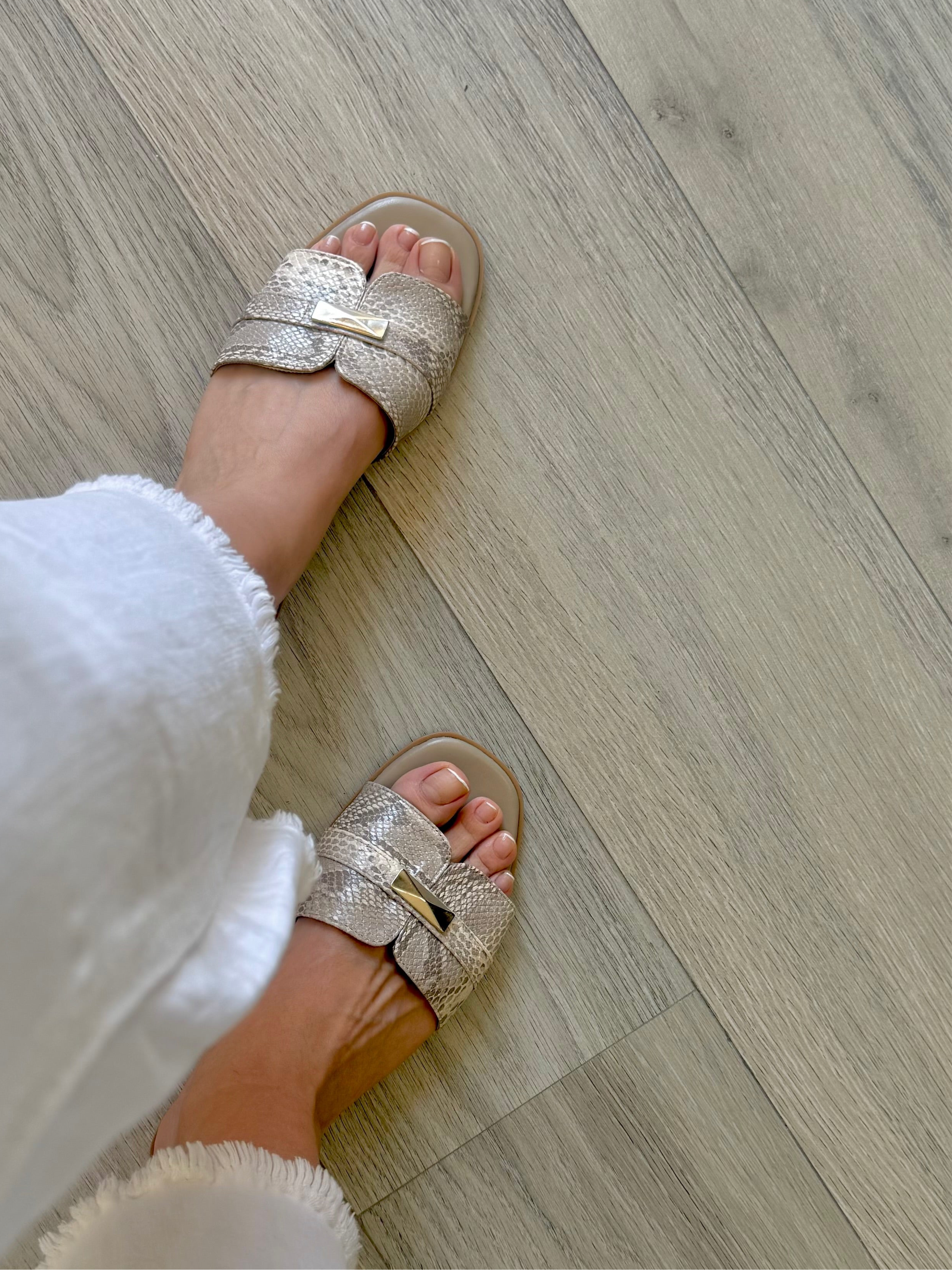 ZAE Zapateria