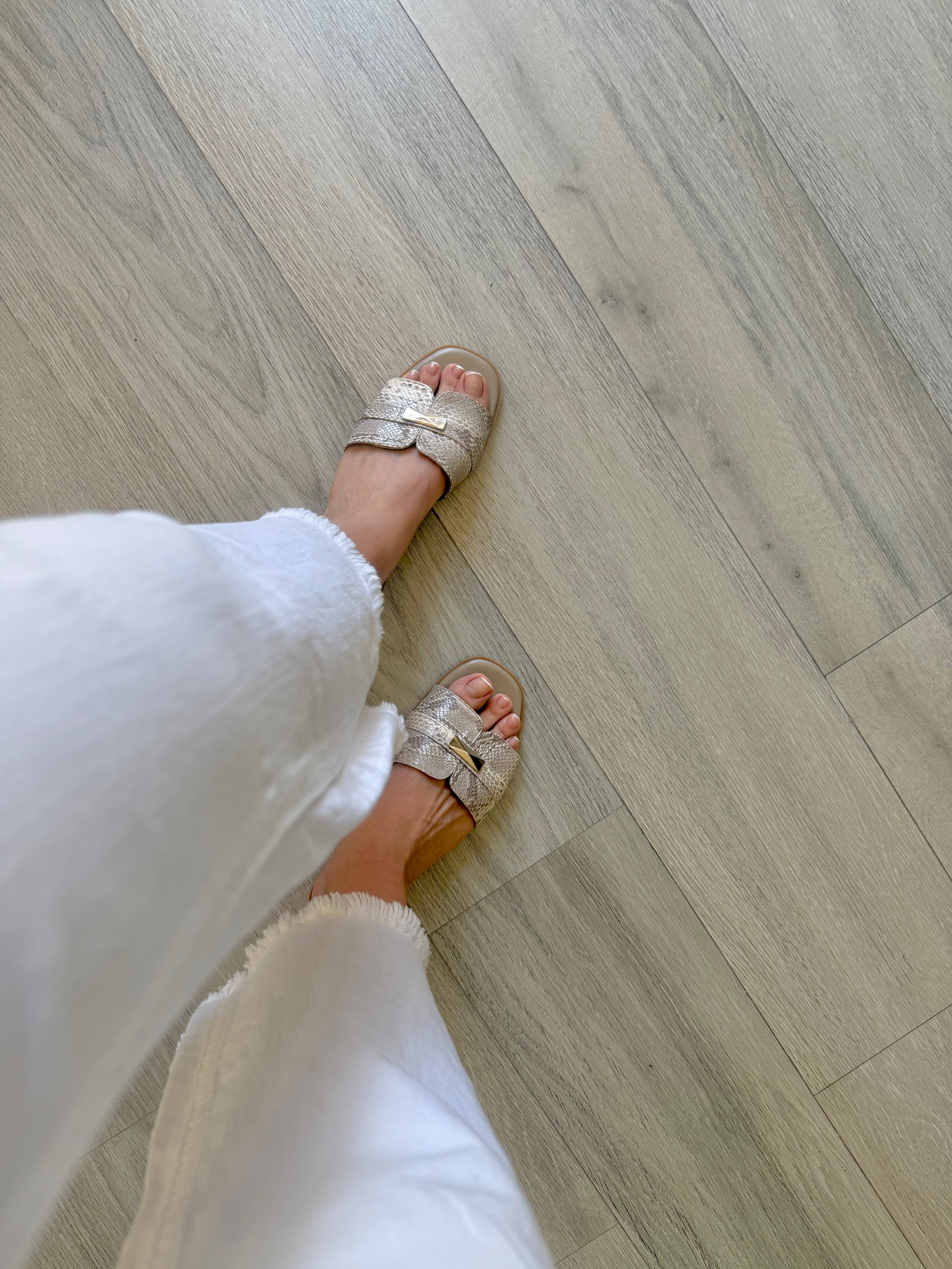 ZAE Zapateria